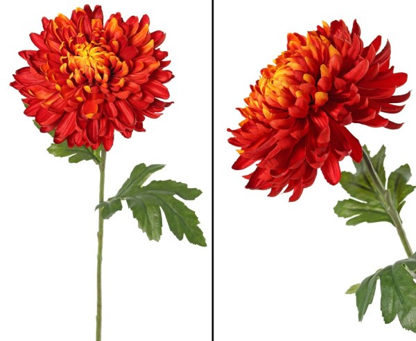 Kunstblume Chrysantheme mit rötlichfarbiger 15cm breiter Blüte und einer Länge von 65cm