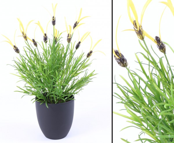 Gewürz Kunstpflanze Lattich aus PE mit Topf 44cm