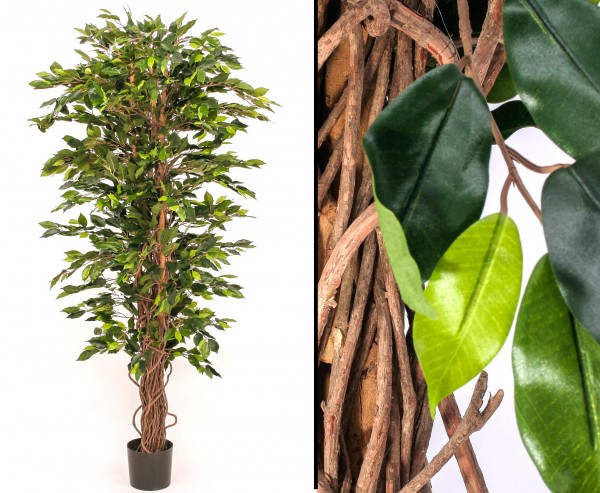 Ficus Benjamini Kunstbaum mit 210cm 1920 Blätter