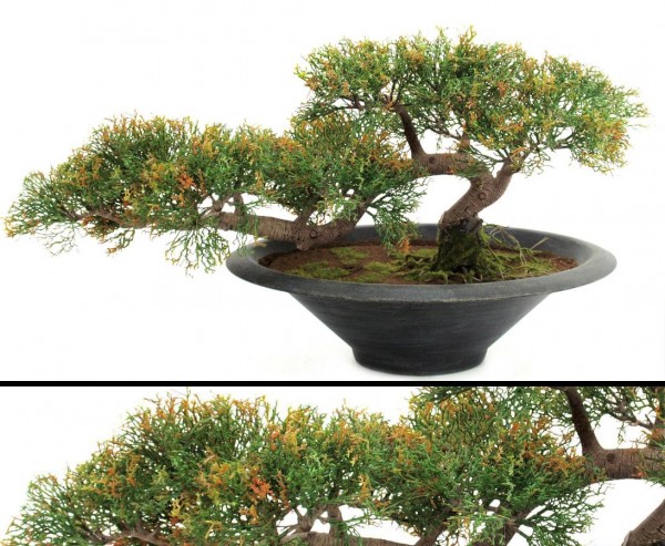 Bonsai Zeder mit strukturiertem Kunststamm und 160 Blätter Höhe 40cm