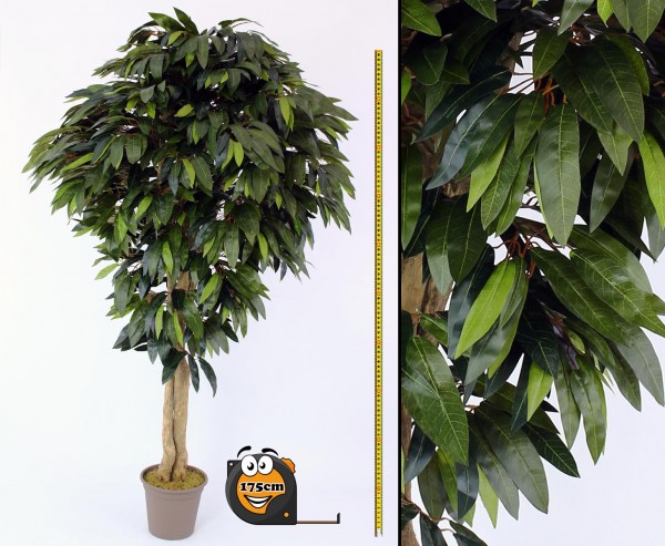 Mango Kunstbaum mit 1360 Blätter 175cm in Premium Qualität