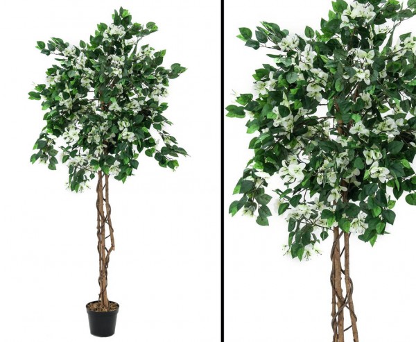 Künstlicher Bougainvillea Baum mit weißen Blüten Höhe 150cm mit Zementfuß