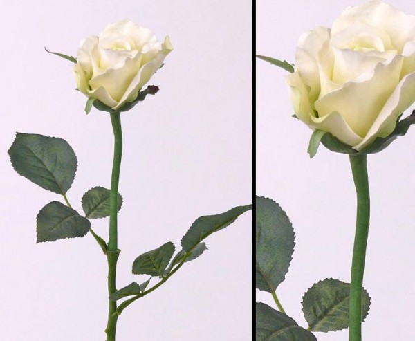 Dekoblumen, Rose Alice, mit 2 Äste und weiß- grün farbiger Blüte, Länge 58cm, Durch. 8cm