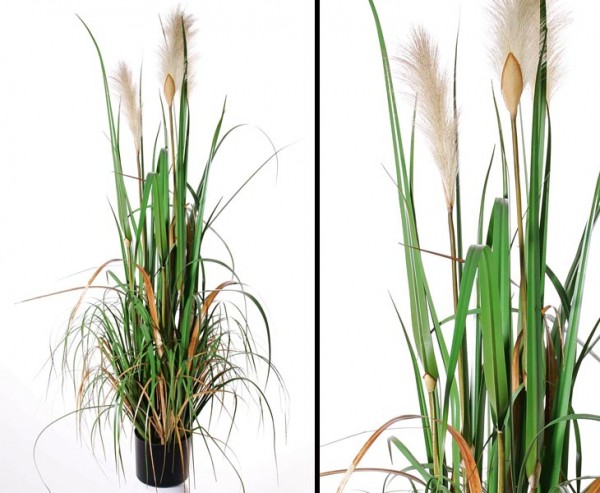 Pampas Gras Kunstpflanze blühend, Höhe ca. 120cm