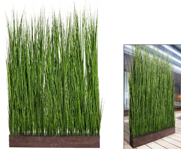 Dünengras in Steckmasse als Sichtschutz und Raumteiler mit H150 x B92cm