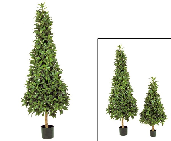 Künstlicher Lorbeerkegelbaum mit Zementtopf mit 170cm und 2.300 Blätter
