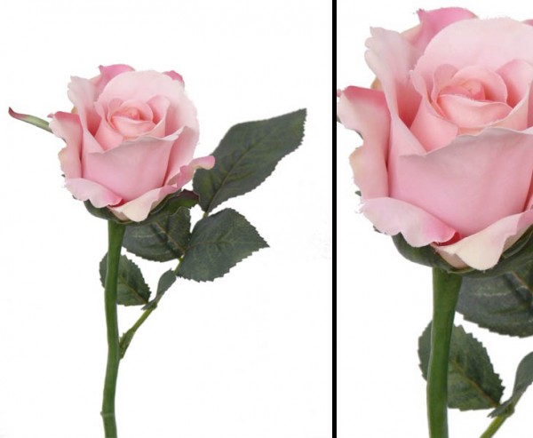 Kunstblume Rose Alice rose farbige Blüte Durch. 8cm, Länge 30cm