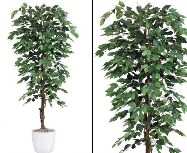 Künstlicher günstiger Ficusbaum Benjamini mit 180cm