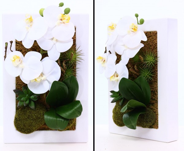 Orchideen Kunstblumen mit weißen Blüten im Metallrahmen 30x20cm