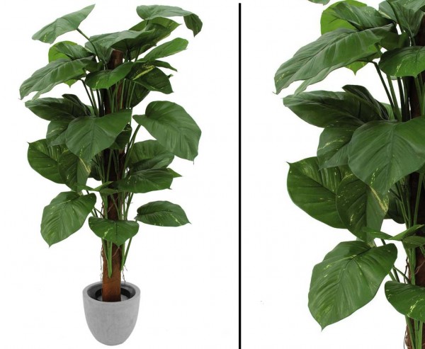 Riesenphothos, Dekobaum grün gelb, 44 Blätter, Höhe 150cm