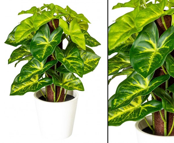 Syngonium Kunstpflanze im Topf 24cm mit 24Blätter "small green"