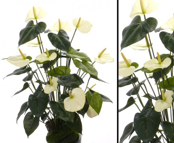 Kunstblume Anthurium mit 13 weißen Blüten 80cm hoch