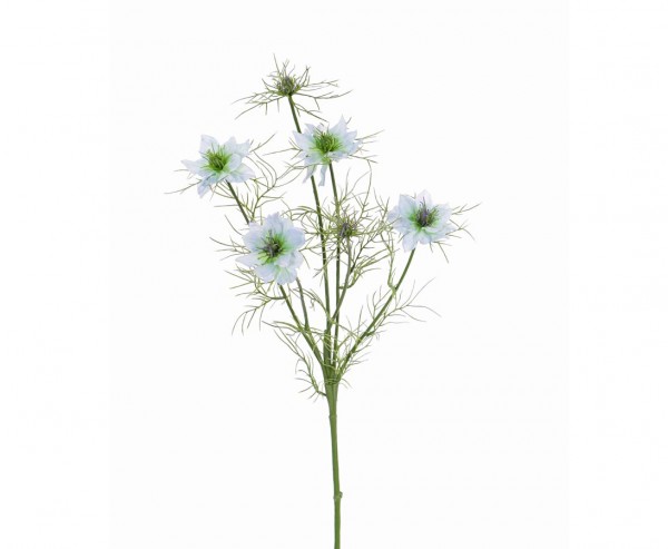 Blume Nigella - Persian Jewel hellblau 4 Blüten, Länge ca. 65cm