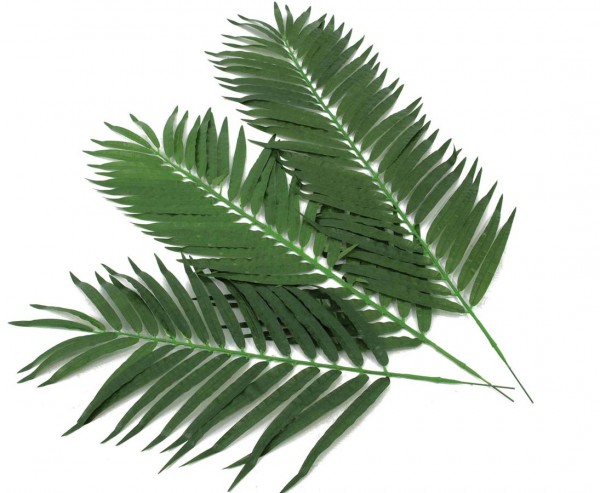 Kunstpflanzen Kocos Palmwedel Set mit 12 Stück Länge ca. 90cm