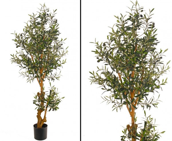 Olivenbaum 150cm mit ca. 1872 Textilblättern 42 Oliven und Verzweigten Stamm