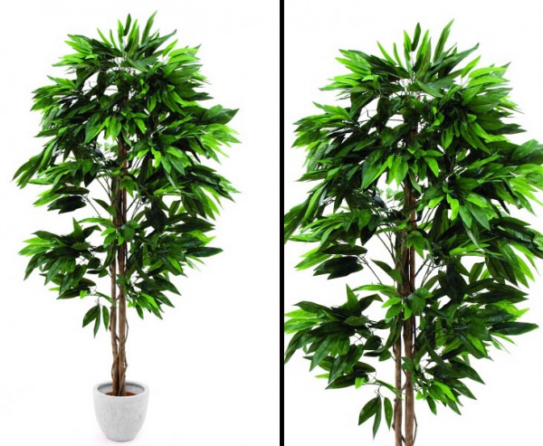 Dschungelbaum Mango Kunstbaum mit Naturstämme Höhe 180cm
