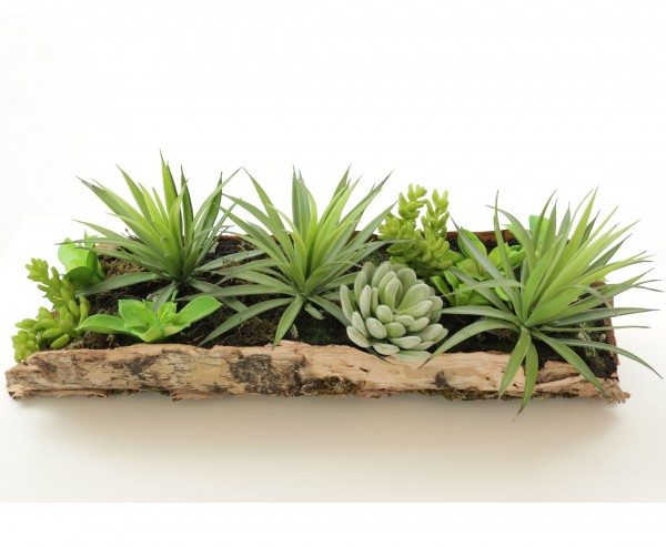 Künstliche Sukkulenten Arrangement in Echtholz Rinde, 43 x 16cm