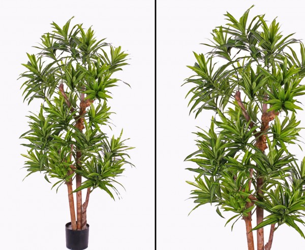 Dracaena Kunstbaum reflexa Höhe 120cm 846 Blätter