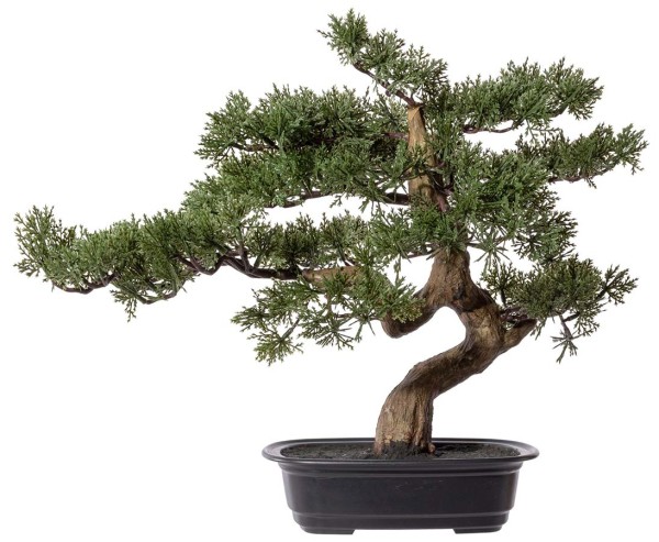 Bonsai Zeder Kunstbaum 45cm in schwarzer Schale
