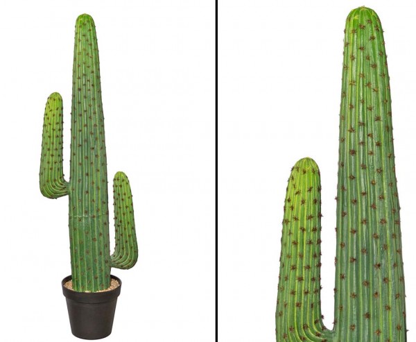 Mexikanischer Kaktus, grün mit Topf, 140cm