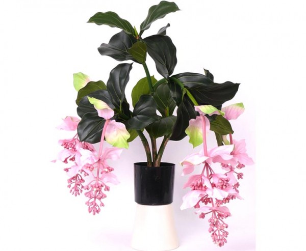 Medinilla künstlich 4 Blüten Höhe 80cm im Plastiktopf