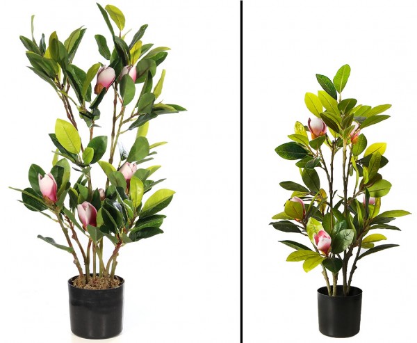 Magnolia Kunstpflanze mit 6 Blüten Höhe ca. 70cm im Topf
