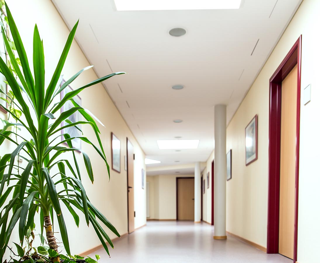 Kunstpflanze Klinik
