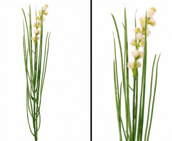 Kunstpflanze blühendes Gras mit 50cm als Steckpflanze
