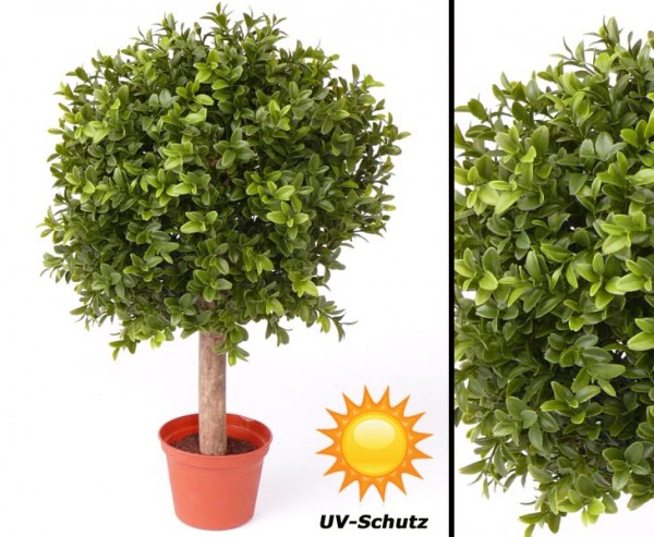 Buchskugel auf Stamm Blätter UV resistent Höhe mit Stamm 35cm