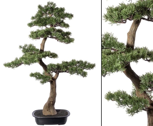 Künstlicher Zeder Bonsai 105cm in schwarzer Schale mit PE Zweigen