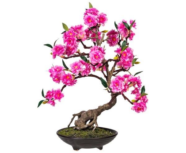 Rosa-bluehender-Bonsai-Kunstbaum-mit-50cm_1GZPCTD0f3xF9XOaDovQLKTqQSM
