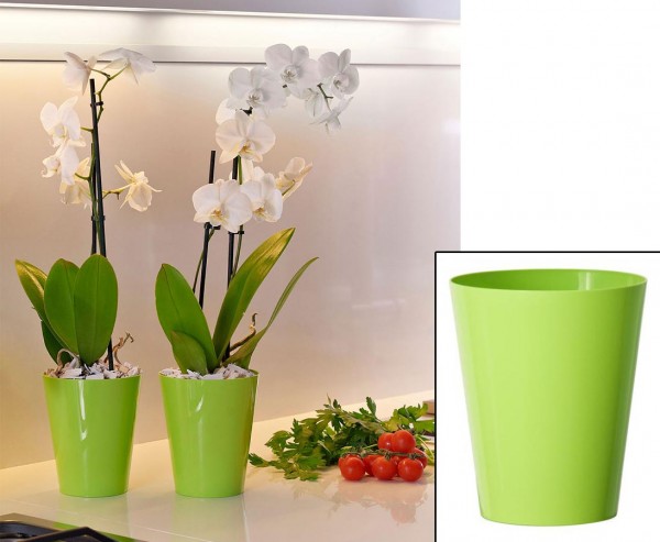 Vase für Orchideen in der Farbe apfelgrün mit H:15cm und Ø12,5cm aus PP
