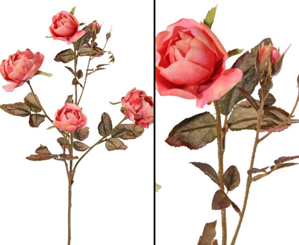 Rosenzweig 76cm mit 4 rotfarbigen Blüten 3 Knospen und 26 Blätter