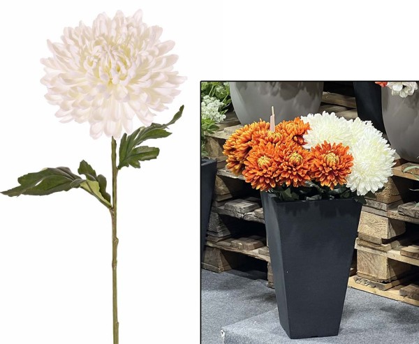 Kunstblume Chrysantheme mit weiß cremefarbiger 15cm breiter Blüte und einer Länge von 65cm