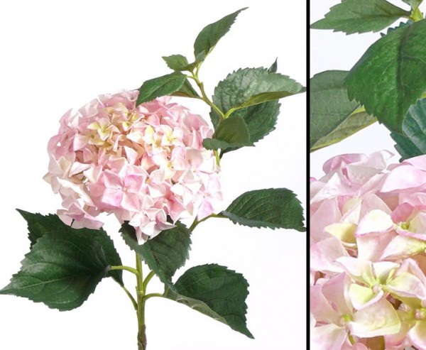 Künstliche Hortensie mit rosa- weißer Blütenkrone, 105cm