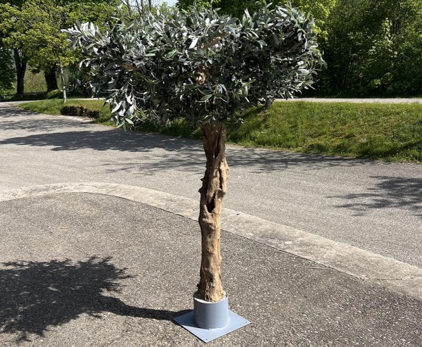 Oliven Kunstbaum "Korfu" mit dickem Echtholzstamm 220cm mit Früchten und Bodenplatte