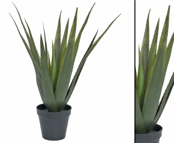Aloe vera Kunstpflanze, mit 18 Blätter, im dekorativen Topf, Höhe ca. 60cm