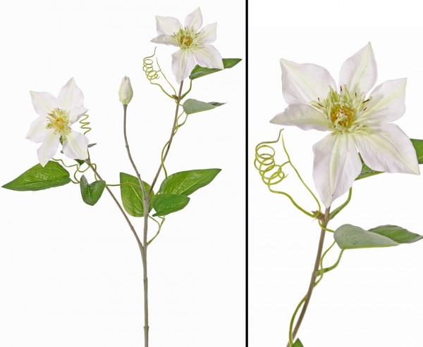 Kunstblume Clematis mit 2 weißen Blüten Länge 76cm