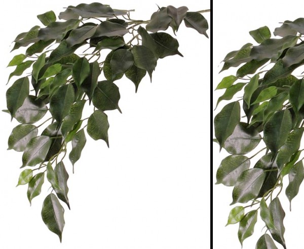 Künstlicher Ficuszweig mit 61 Blätter 77cm lang schwer entflammbar