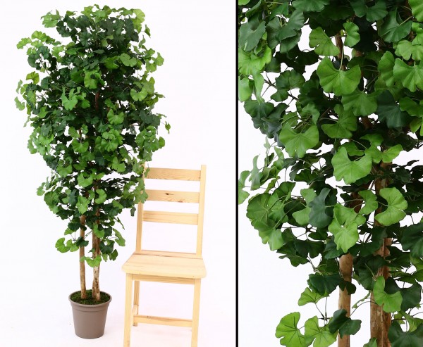 Ginkgo Kunstbaum 200cm mit 1144 Textilfaser Blätter und Naturstämmen