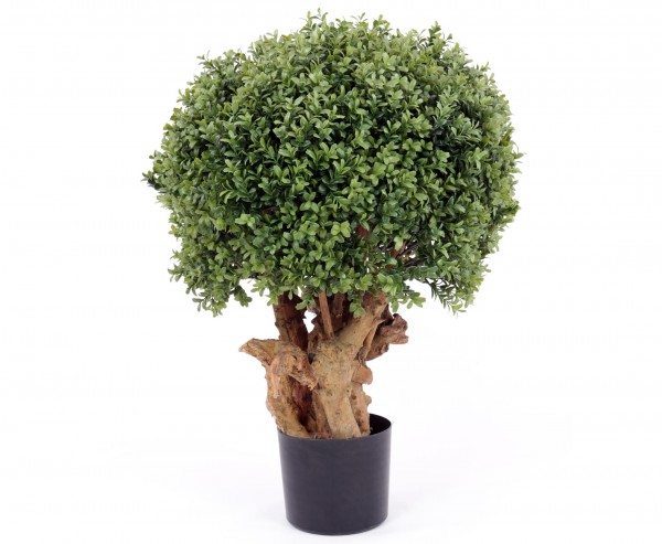 Buchs Kunstbaum mit Echtstämmen in Premium Qualität, Höhe 76cm