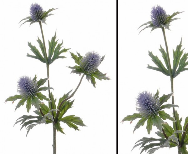 Distel Zweig mit 3 Blüten Länge ca. 40cm