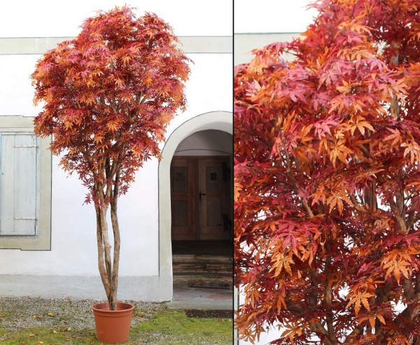 Ahorn Herbst Kunstbaum mit orange- rötlichen Blättern und Naturstämmen 400cm im Topf