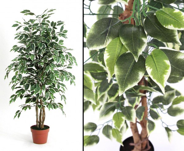 Ficus Kunstbaum 125cm mit 654 grün-weißen Blättern und Naturstämmen