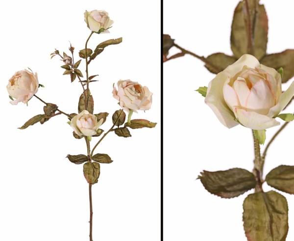 Rosenzweig 76cm mit 4 cremefarbigen Blüten 3 Knospen und 26 Blätter