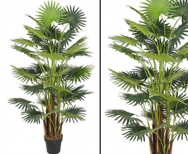 Kunstpalme Areca mit 41 Fächerpalmwedel Höhe 160cm
