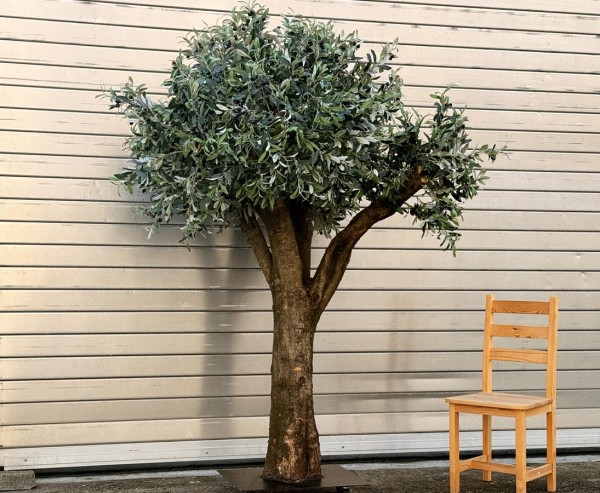Künstlicher Olivenbaum hochwertig mit echtem Olivenholz Stamm 20 bis 30cm Höhe 210cm Durch. 140cm