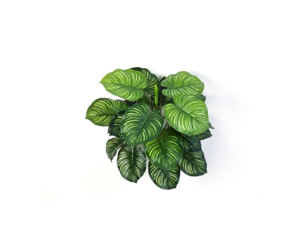 Calathea Busch künstlich 45cm mit 22 Blättern