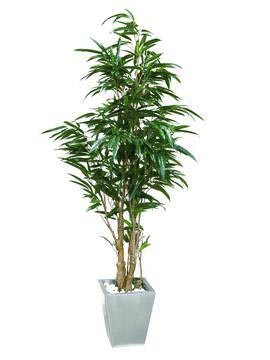 Ficus Longifolia Kunstbaum mit 846 Blätter, 210cm