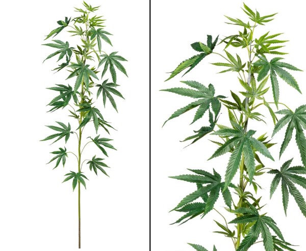 Künstlicher Hanfzweig 150cm mit 40Cannabis Blättern aus Textilfaser Material